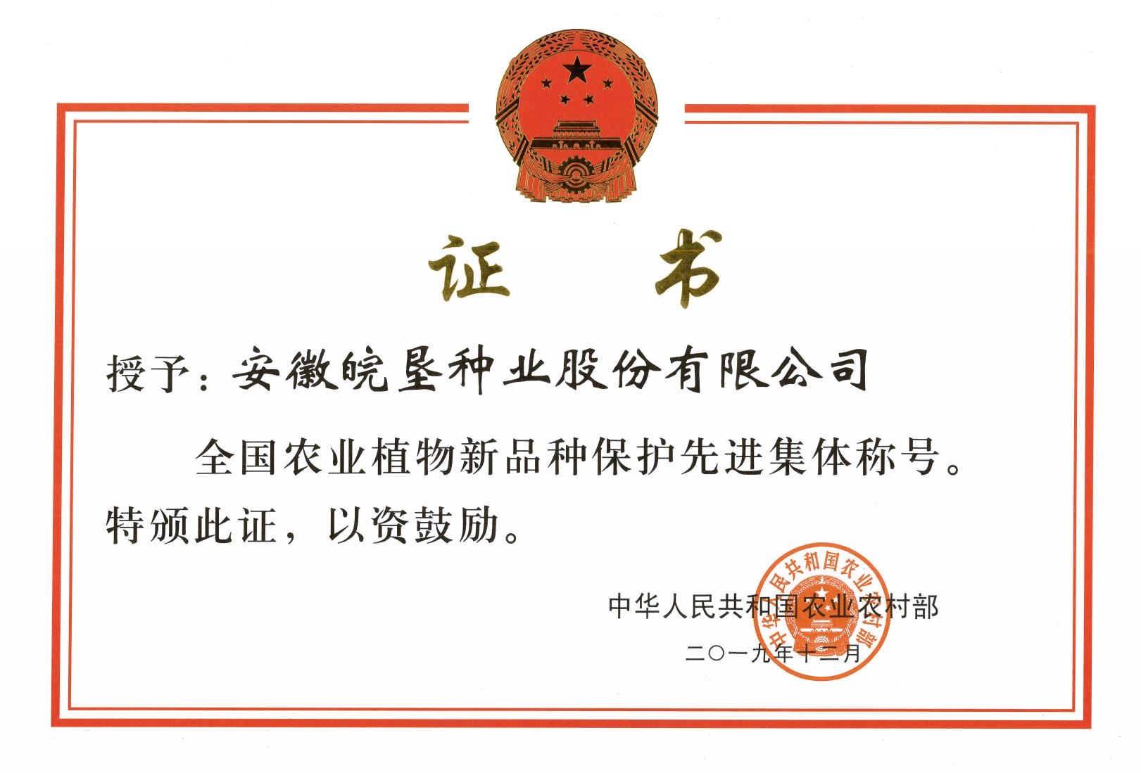 皖墾種業(yè)榮獲全國農業(yè)植物新品種保護先進集體