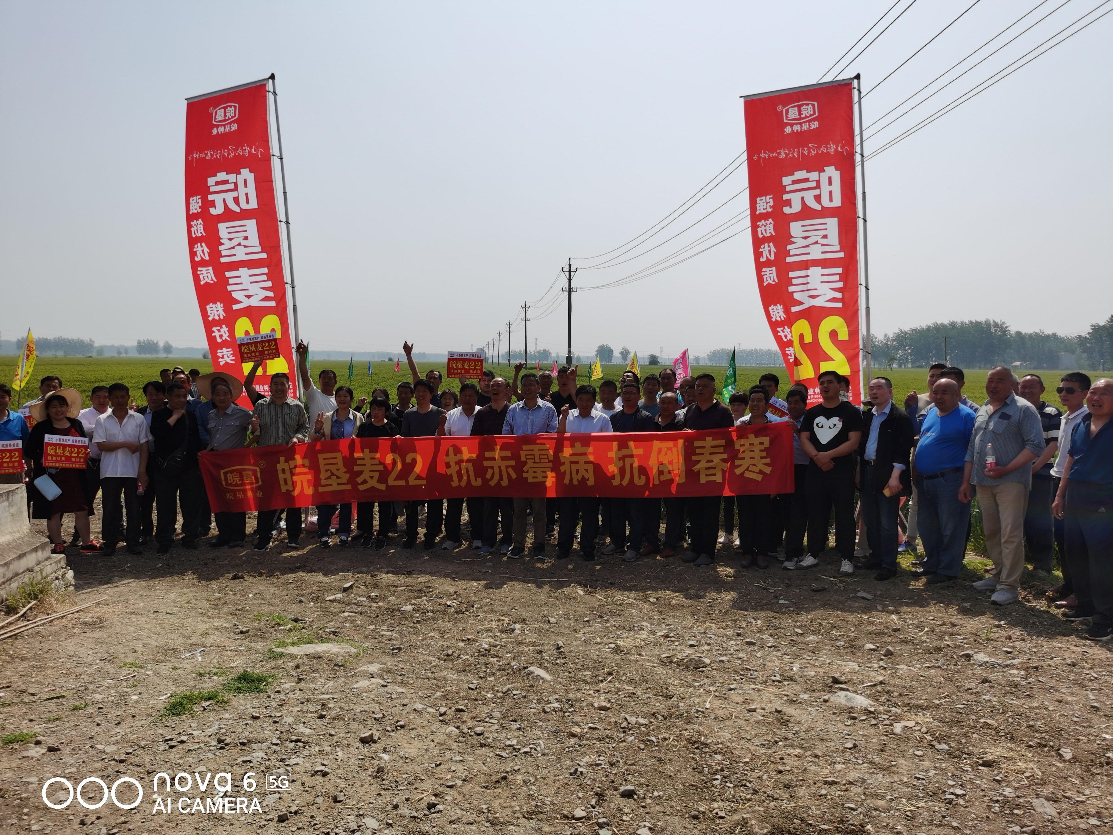 ?以品種促宣傳，以品質(zhì)促發(fā)展 皖墾種業(yè)召開淮麥44、皖墾麥22品種觀摩交流會(huì)